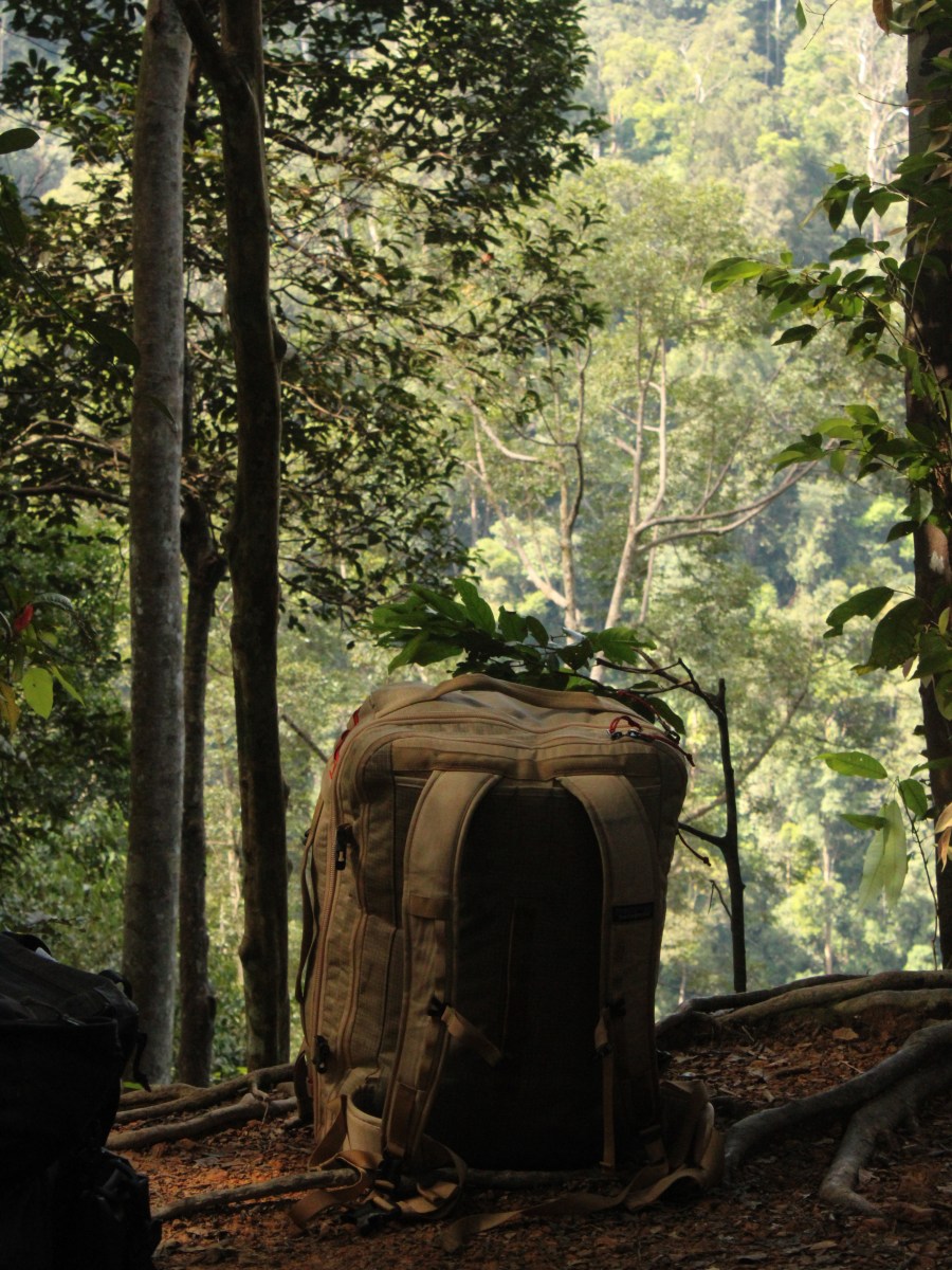 Deep in the Sumatran&nbsp;Jungle