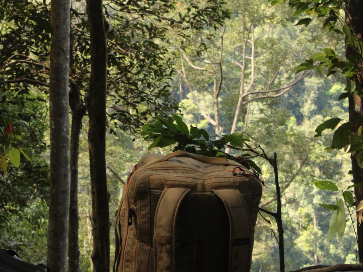Deep in the Sumatran&nbsp;Jungle